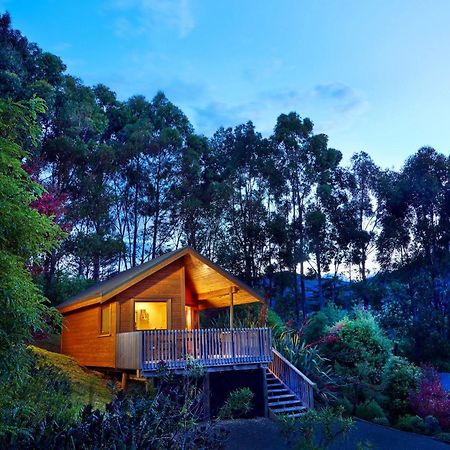 The Resurgence Villa Motueka ภายนอก รูปภาพ
