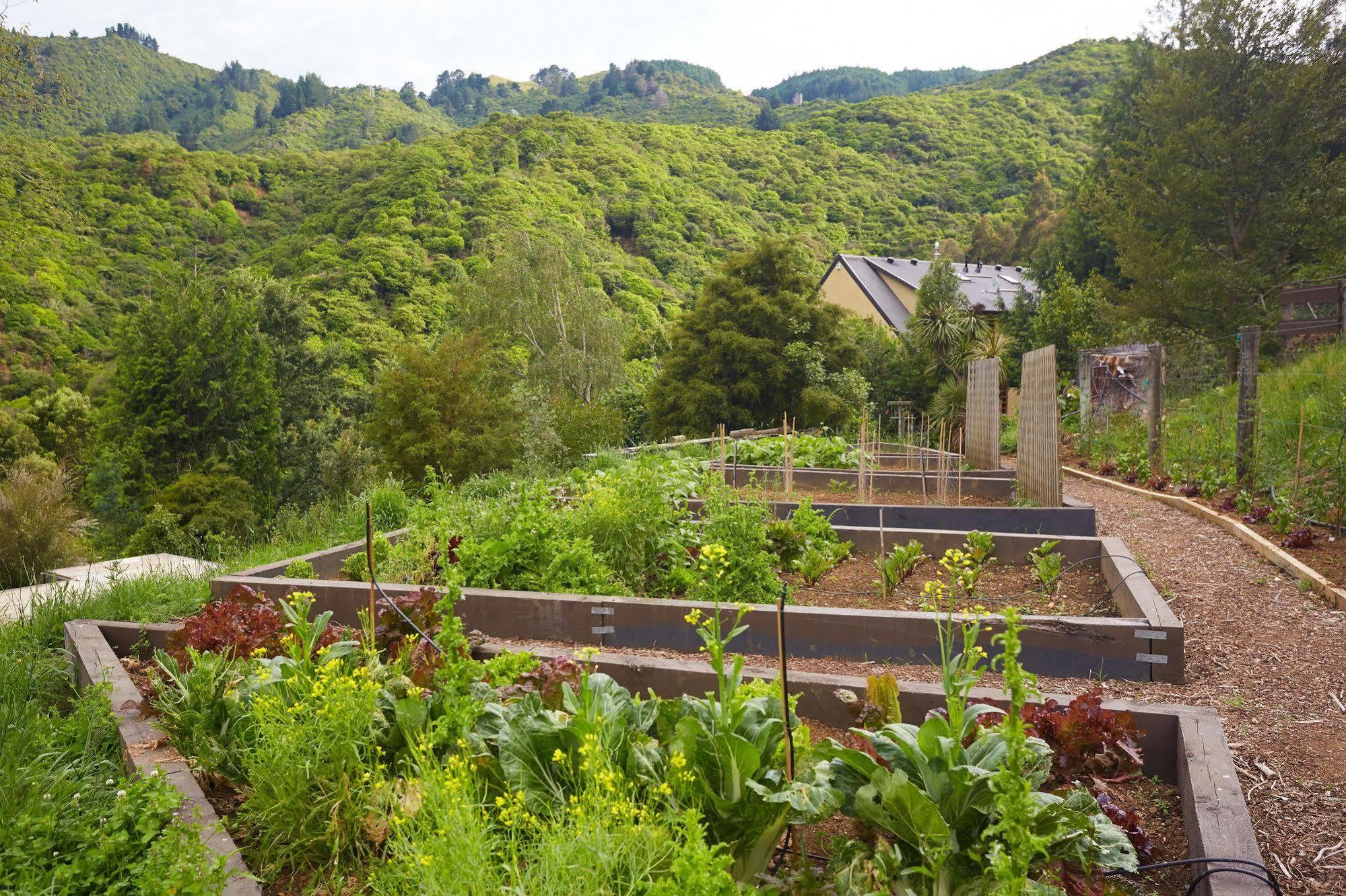 The Resurgence Villa Motueka ภายนอก รูปภาพ